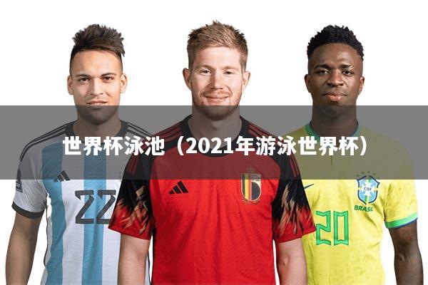 世界杯泳池（2021年游泳世界杯）