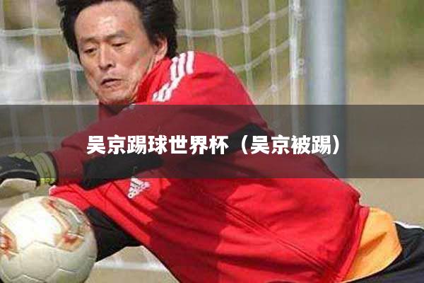 吴京踢球世界杯（吴京被踢）