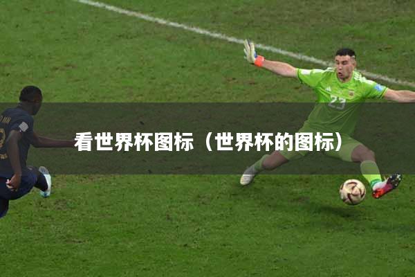 看世界杯图标（世界杯的图标）