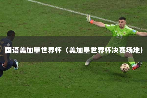 国语美加墨世界杯（美加墨世界杯决赛场地）
