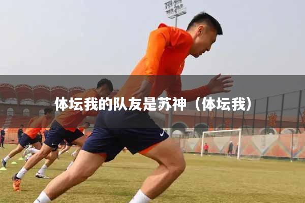 体坛我的队友是苏神（体坛我）
