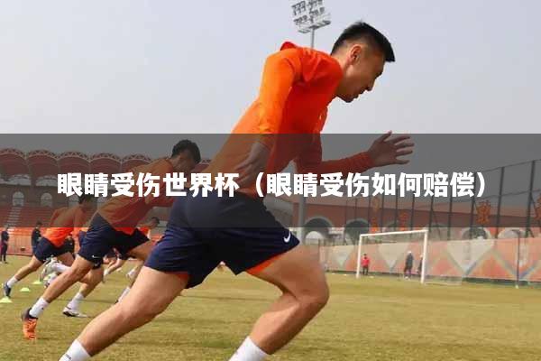 眼睛受伤世界杯（眼睛受伤如何赔偿）